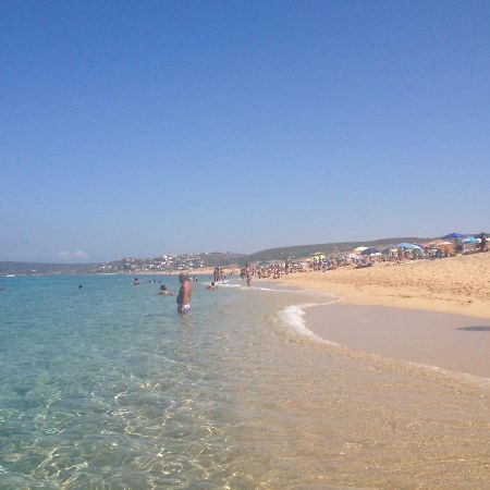 Sardegna-Ferienwohnung Mit Emotionale Meeres Blick 토레 데이 코르사리 외부 사진
